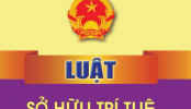 Luật Sở hữu trí tuệ 2025: Quy định về phản đối đơn đăng ký SHCN 